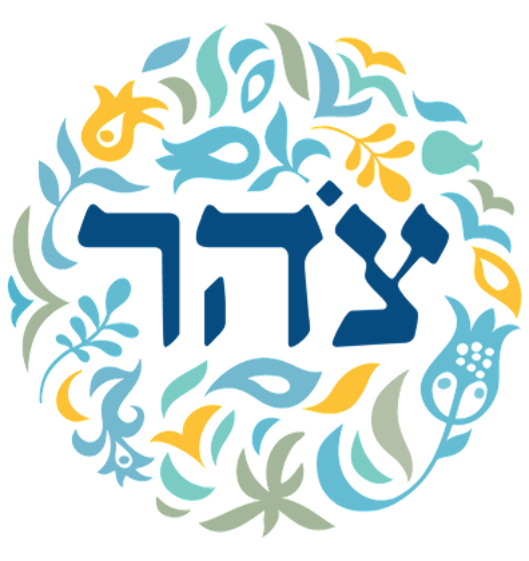960px-לוגו_צהר 1